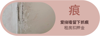 南宫NG28(中国区)相信品牌的力量官网
