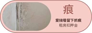 南宫NG28(中国区)相信品牌的力量官网