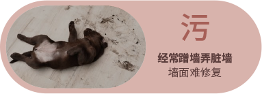南宫NG28(中国区)相信品牌的力量官网