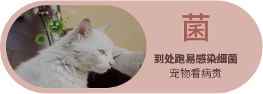 南宫NG28(中国区)相信品牌的力量官网