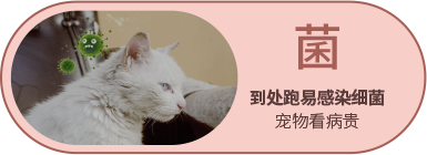 南宫NG28(中国区)相信品牌的力量官网