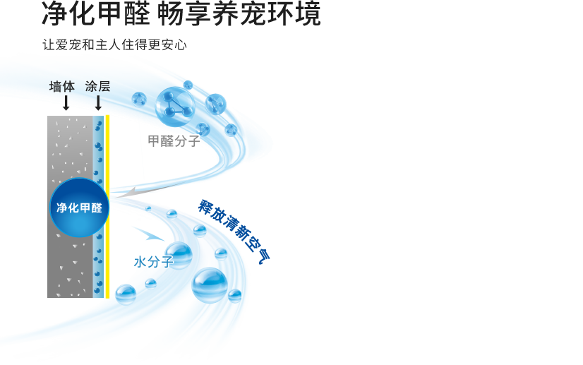 南宫NG28(中国区)相信品牌的力量官网