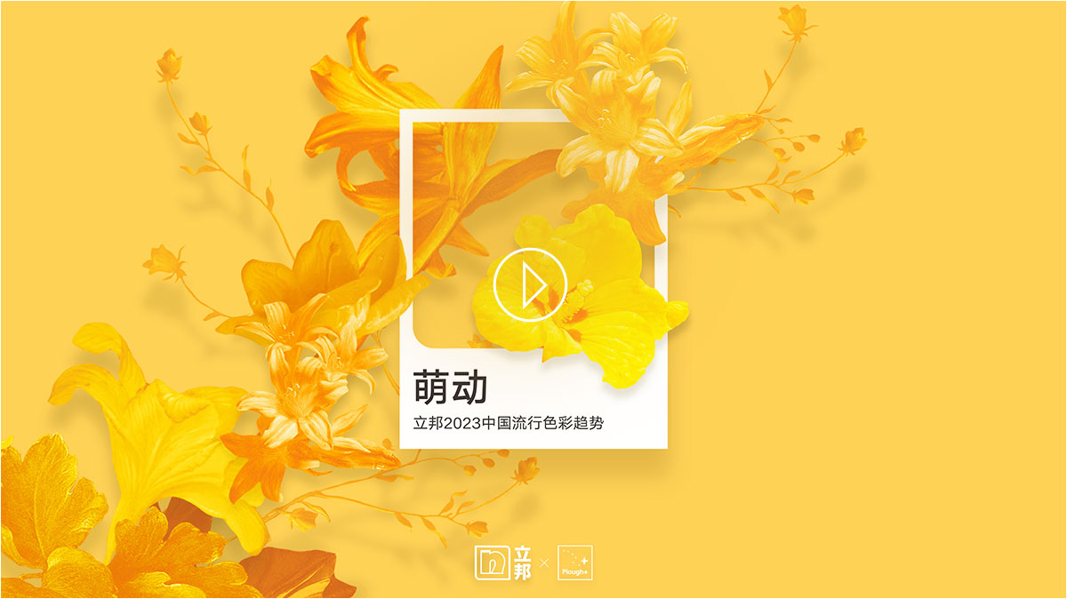 南宫NG28(中国区)相信品牌的力量官网