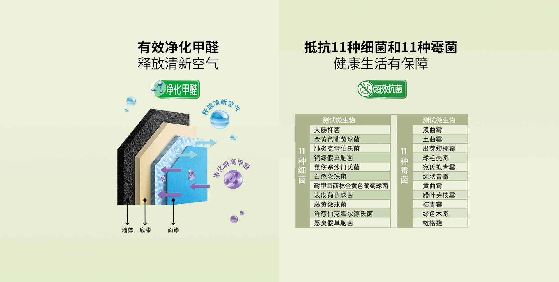 南宫NG28(中国区)相信品牌的力量官网
